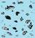 We Swam Amongst The Fishes