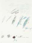 Castanea Sativa - Signed Print
