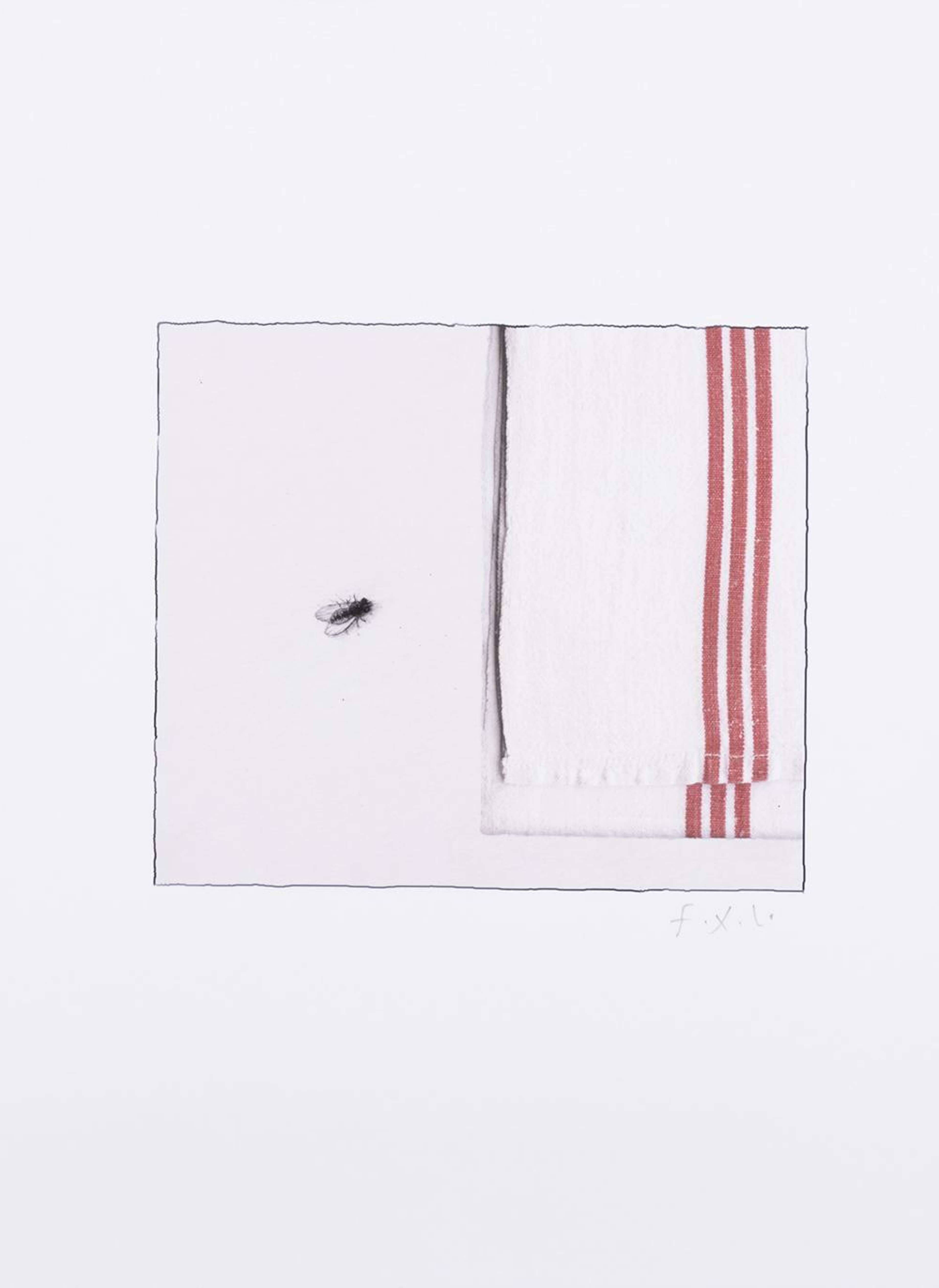 À l'intérieur d'un carré délimité par un fin trait noir, une mouche domestique est posée sur un fond blanc. Elle est orientée vers le coin d'un torchon à vaisselle orné de trois rayures rouges. Les œuvres « Three Stripes For Red » sont bien connues.