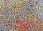 Damien Hirst: H4-4 Cannizaro - Signed Print