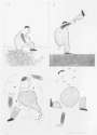 David Hockney: He Tore Himself In Two - Signed Print
