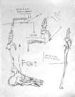 Da Vinci, Leg Of A Dog - Signed Print