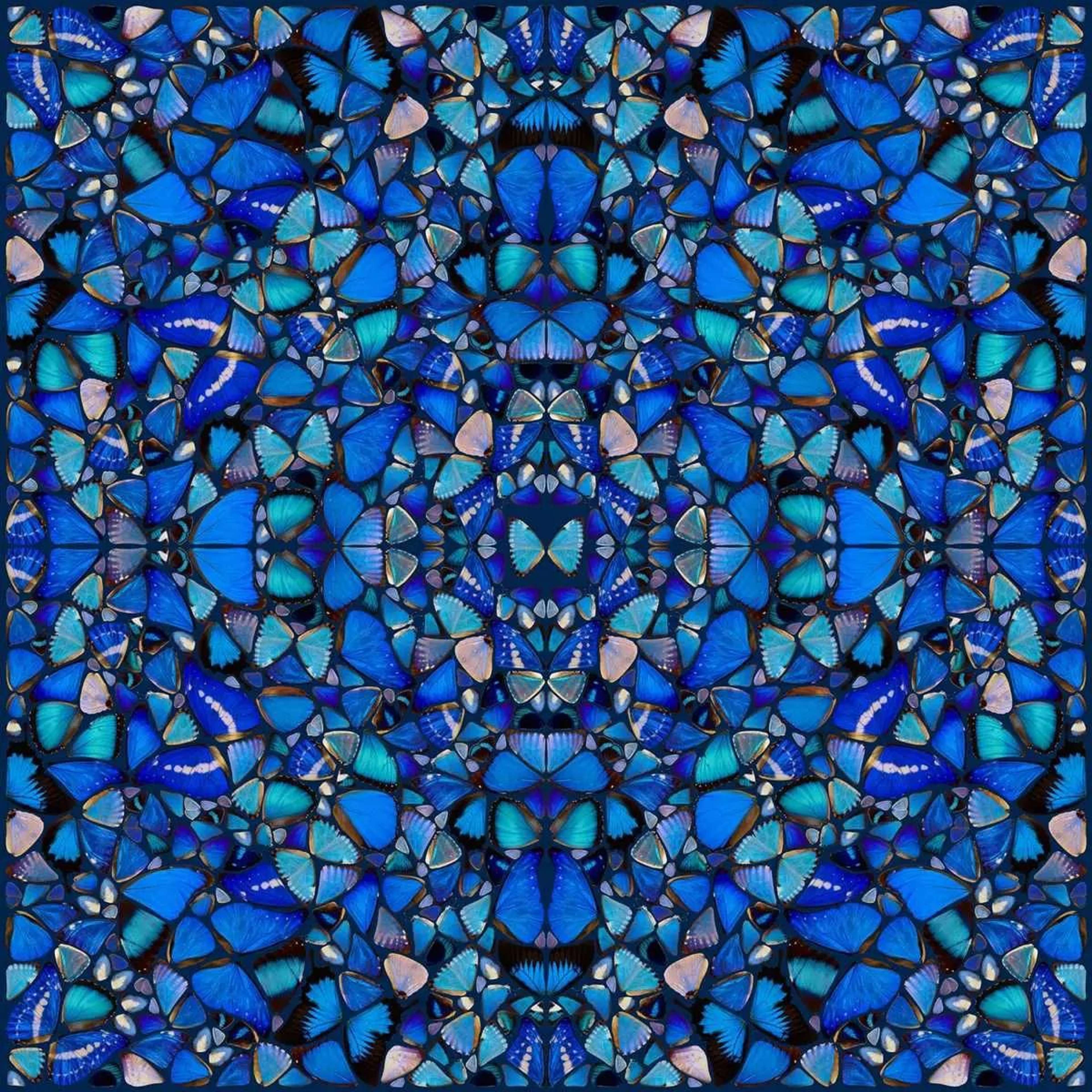 H6-2 Grace - Signed Print by Damien Hirst 2015 - MyArtBroker