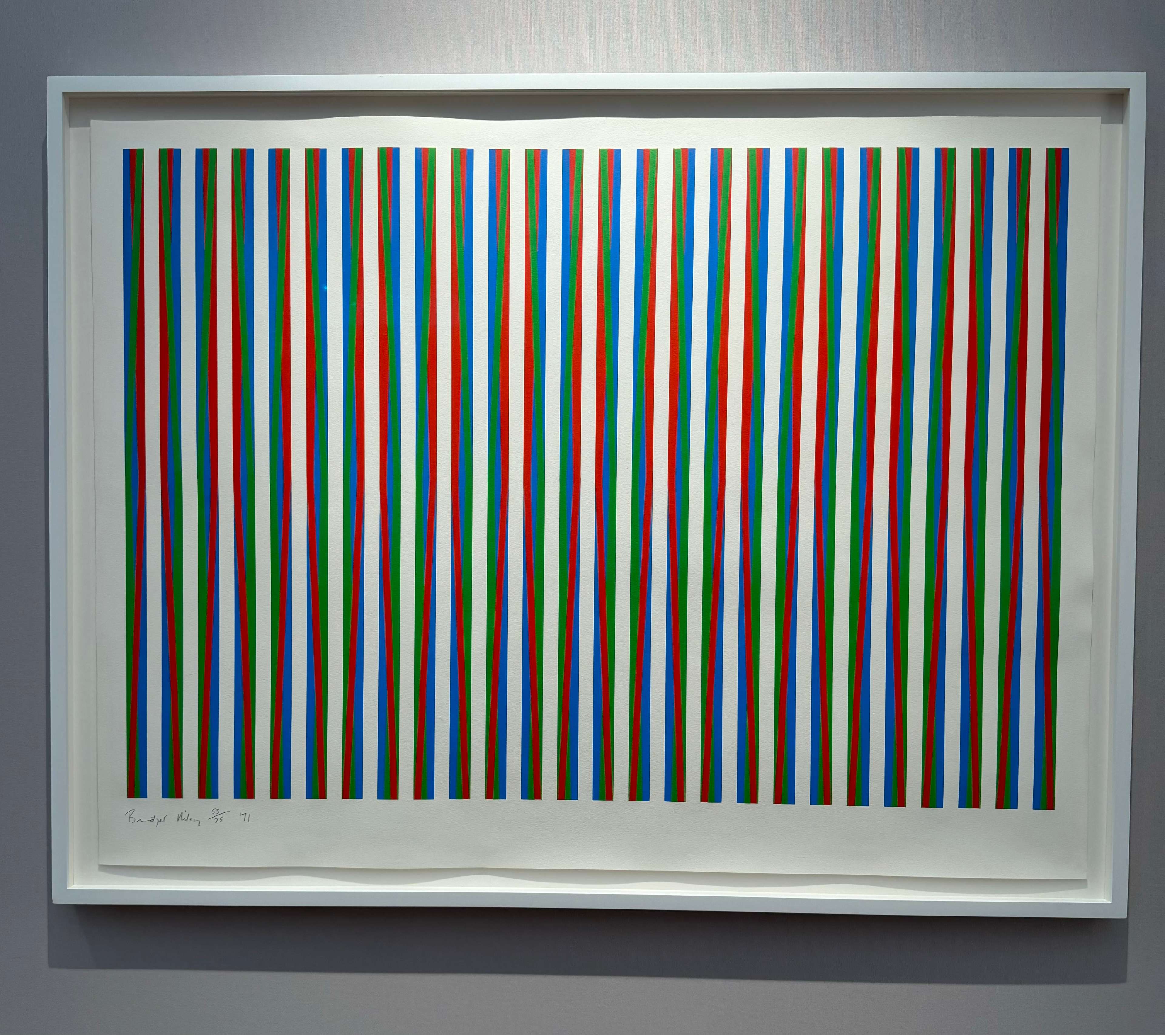 Firebird de Bridget Riley
