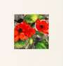 Donald Sultan: Red Flowers - Signed Print