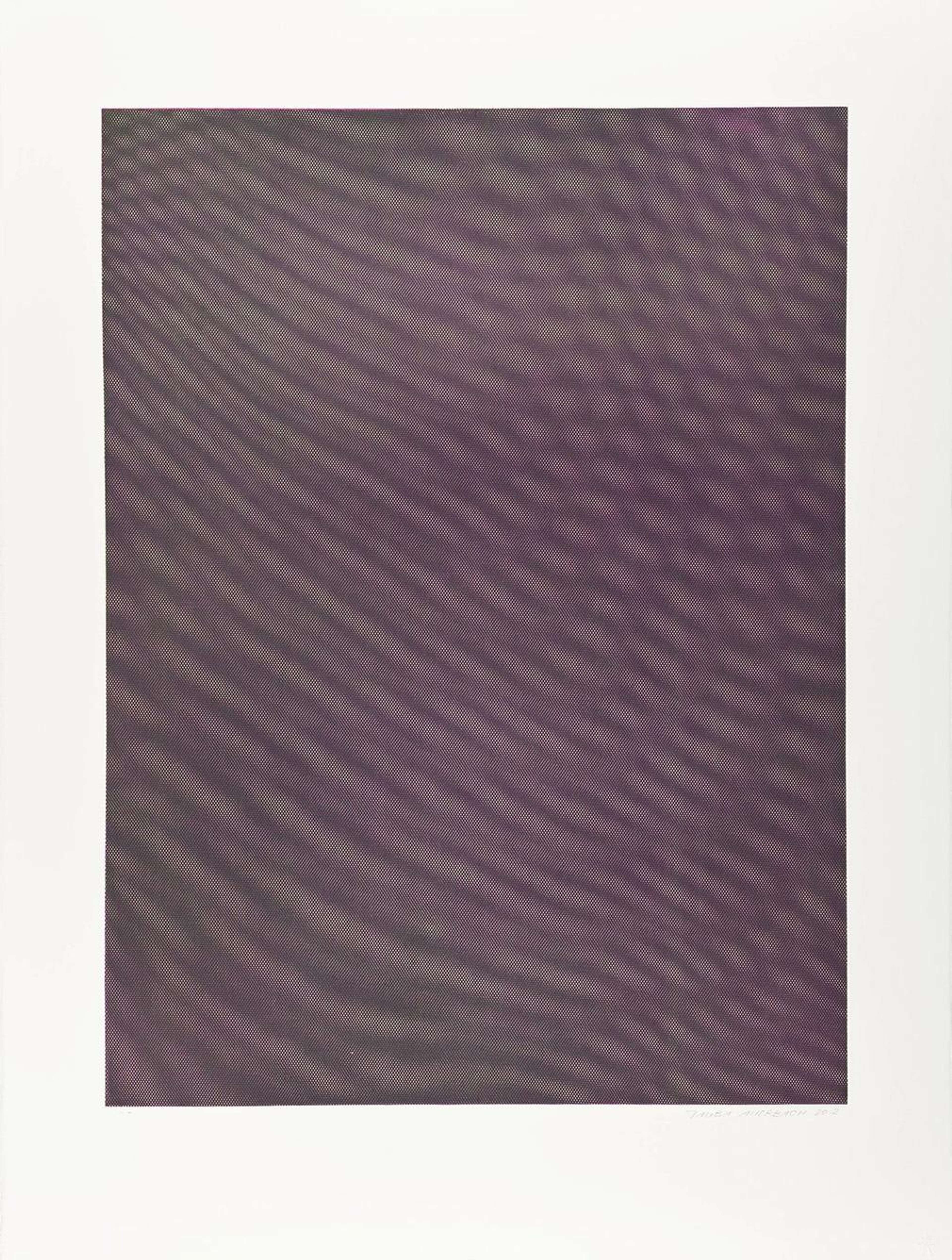 Mesh Moire V - Signed Print by Tauba Auerbach 2012 - MyArtBroker