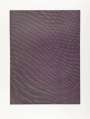 Tauba Auerbach: Mesh Moire V - Signed Print