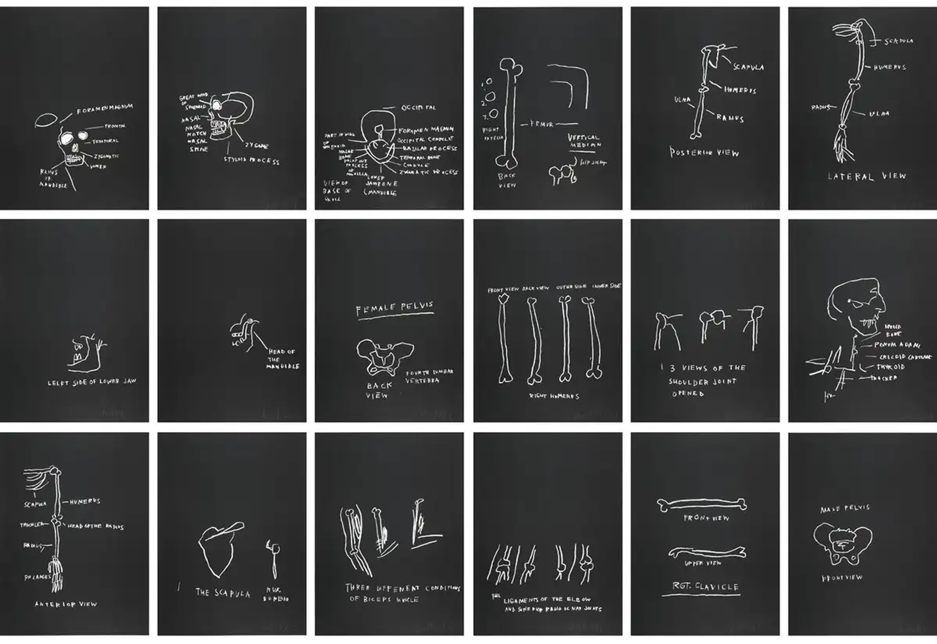 Louise Bourgeois et Jean-Michel Basquiat : Œuvres anatomiques