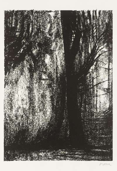 The Forest - Signed Print by Henry Moore 1973 - MyArtBroker
