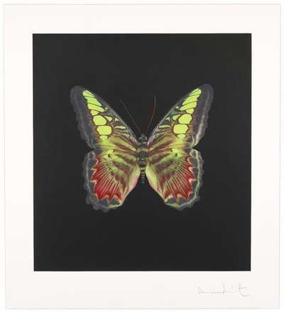 The Souls On Jacob’s Ladder 2 - Signed Print by Damien Hirst 2007 - MyArtBroker