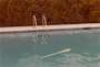David Hockney: Untitled (Swimming Pool) - Signed Print