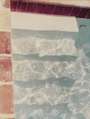 David Hockney: Steps Into The Water - Signed Print