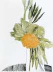 Flowers (F. & S. II.110) - Signed Print