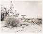Ed Ruscha: Desert Gravure - Signed Print
