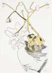 Flowers (F. & S. II.119) - Signed Print