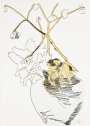 Andy Warhol: Flowers (F. & S. II.119) - Signed Print