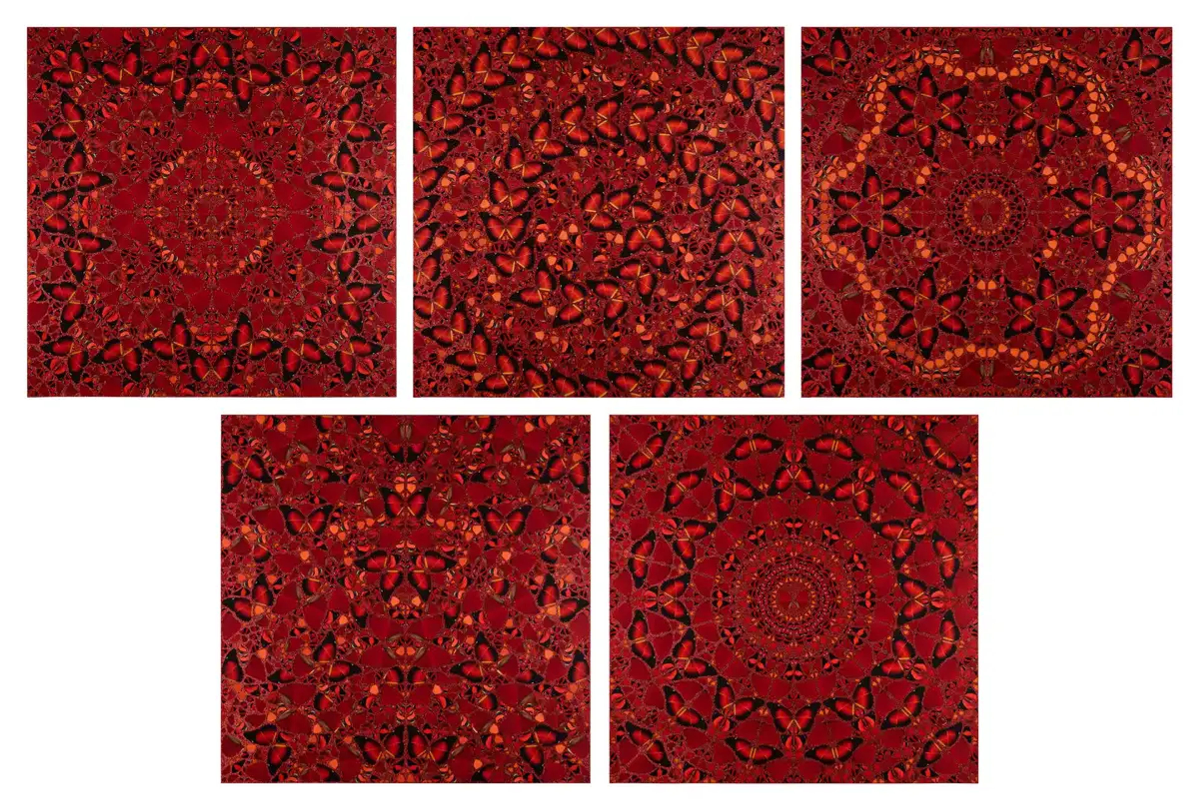 10 faits concernant « H10 The Empresses » de Damien Hirst