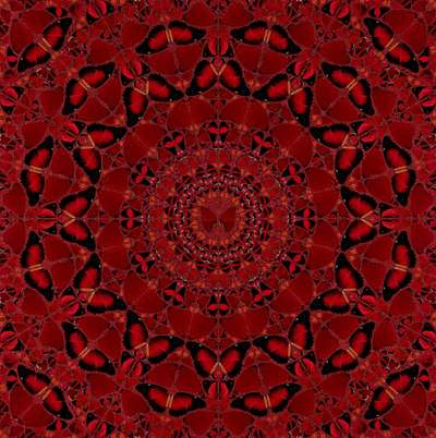 H10-4 Suiko - Signed Print by Damien Hirst 2022 - MyArtBroker