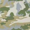 Camouflage (F. & S. II.407) - Signed Print