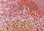 Damien Hirst: H4-1 Sans Souci - Signed Print