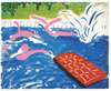Swimming Pools