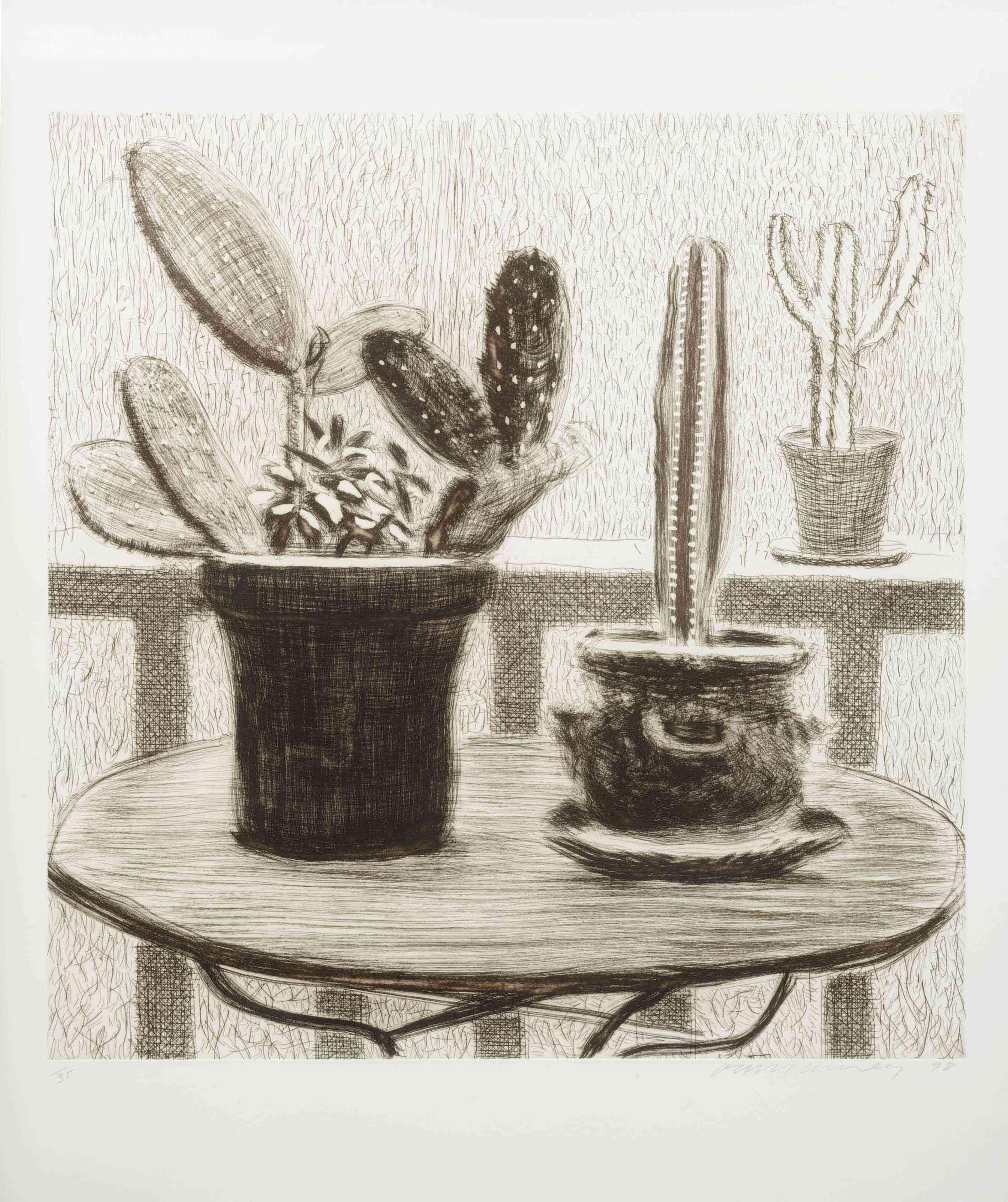 Monochrome assortment of cacti in pots 