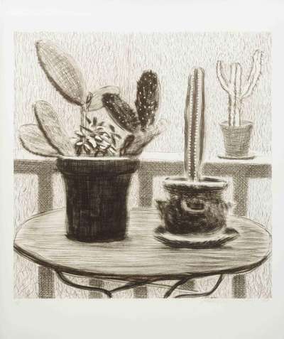 Cacti On Terrace - Signed Print by David Hockney 1998 - MyArtBroker