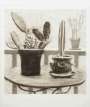 David Hockney: Cacti On Terrace - Signed Print