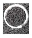Enso Facing The Pitch Black Void - Signed Print
