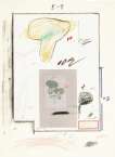 Plate III (from Natural History Part I - Mushrooms) - Signed Print