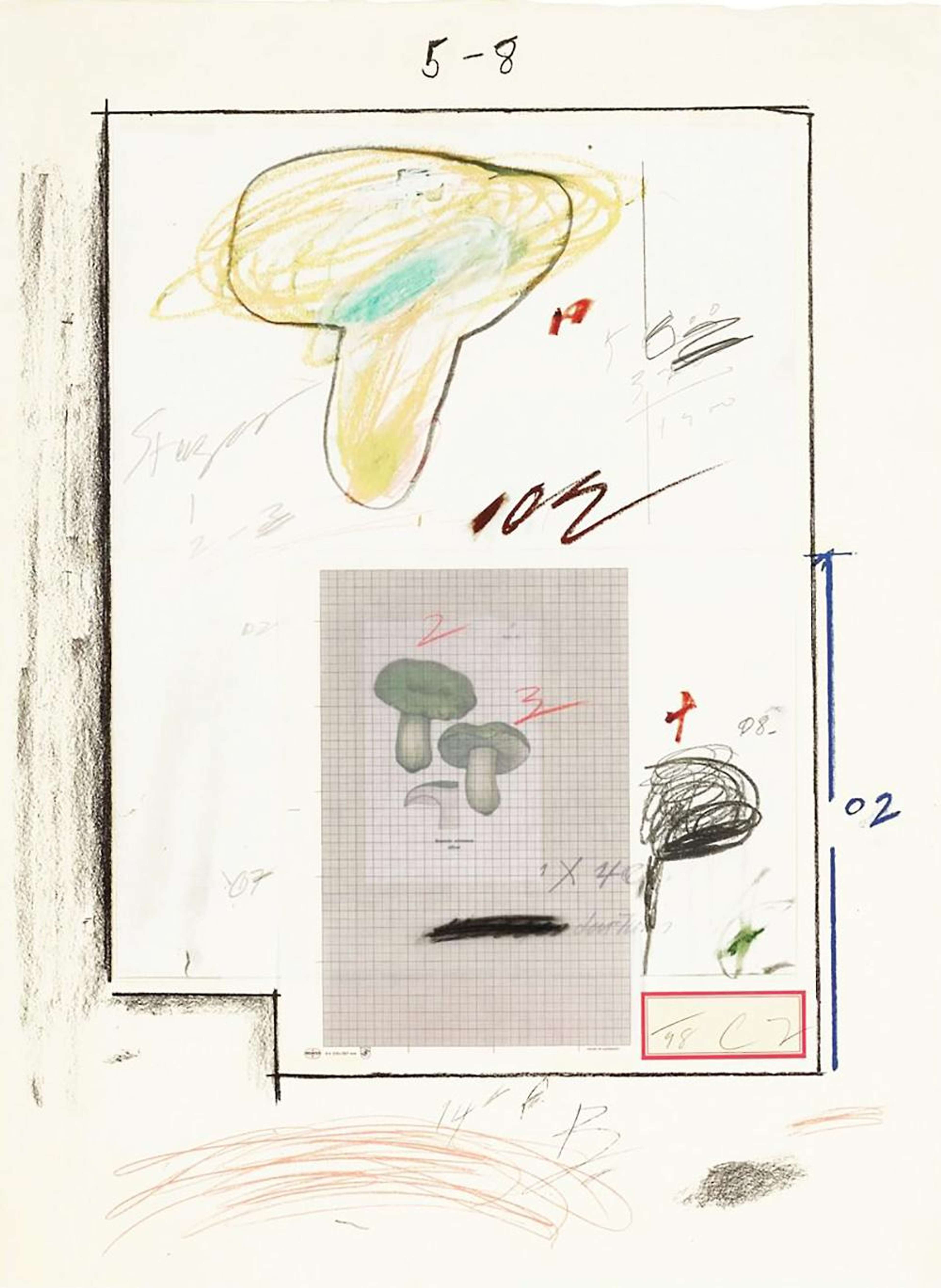 Plate III (from Natural History Part I - Mushrooms) - Signed Print by Cy Twombly 1974 - MyArtBroker