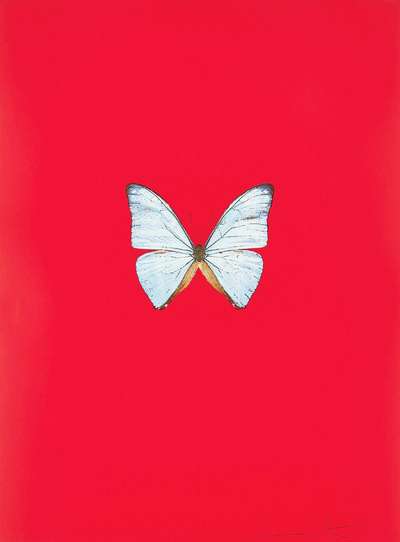New Beginnings 6 - Signed Print by Damien Hirst 2011 - MyArtBroker