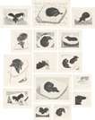 Dog Wall (complete set) - Signed Print