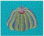 Yayoi Kusama: Pumpkin (OG) , Kusama 156 - Signed Print