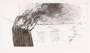 David Hockney: The Fires Of Furious Desire - Signed Print