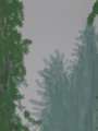 David Hockney: Yosemite III, October 5th 2011 - Signed Print
