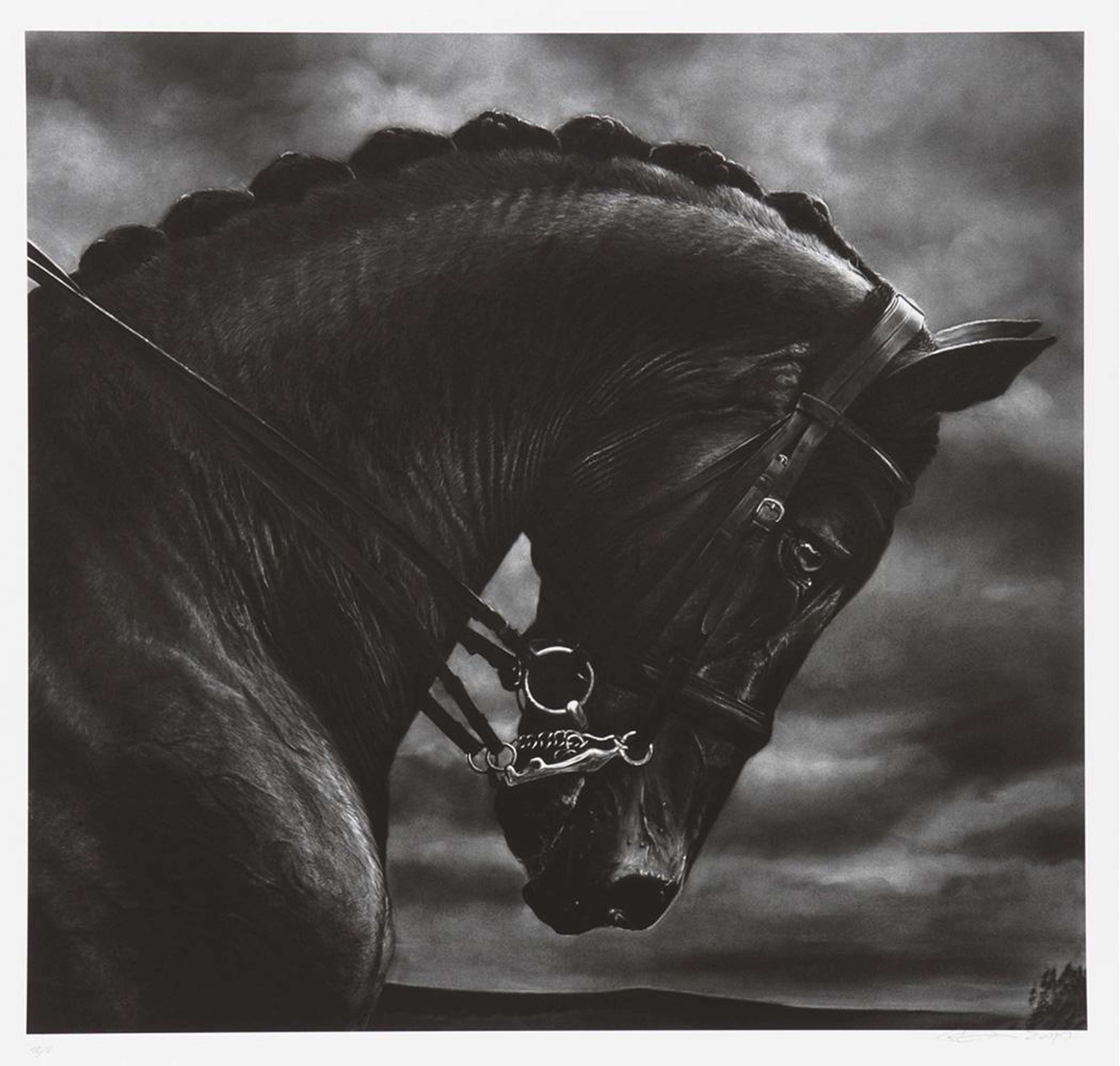 Untitled (Bucephalus) - Signed Print by Robert Longo 2017 - MyArtBroker
