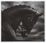 Robert Longo: Untitled (Bucephalus) - Signed Print