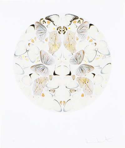 Canon - Signed Print by Damien Hirst 2015 - MyArtBroker