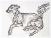 Pluto Aged Twelve - Signed Print
