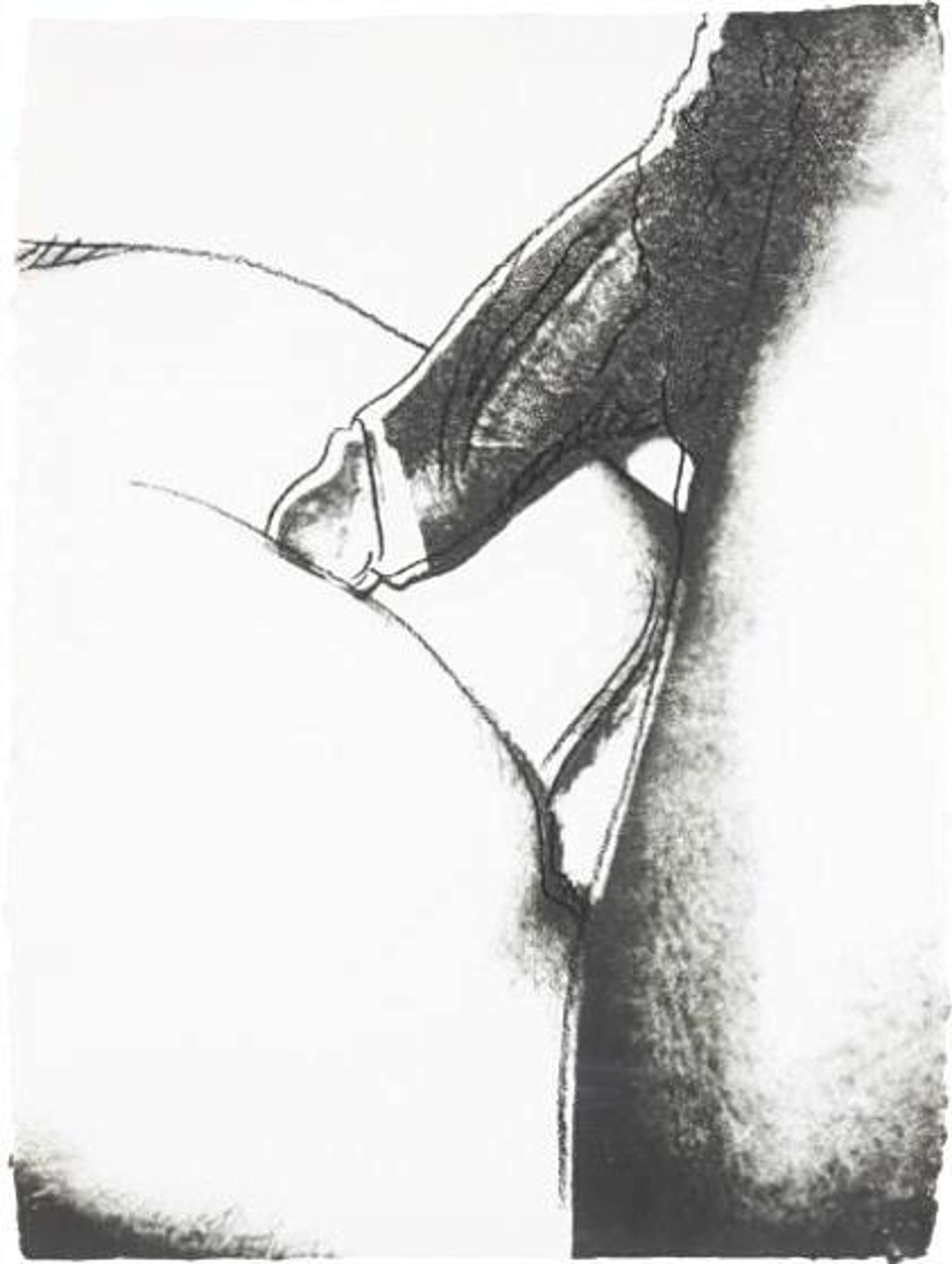 Sex Parts (F. & S. II.174) by Andy Warhol