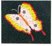 Butterfly, Kusama 81 - Signed Print