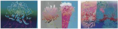 Kiku (complete set) - Signed Print by Andy Warhol 1983 - MyArtBroker
