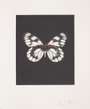 Damien Hirst: Regeneration - Signed Print