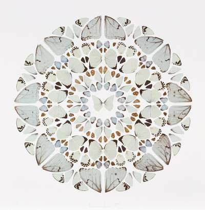 Exaudi Domine - Signed Print by Damien Hirst 2009 - MyArtBroker