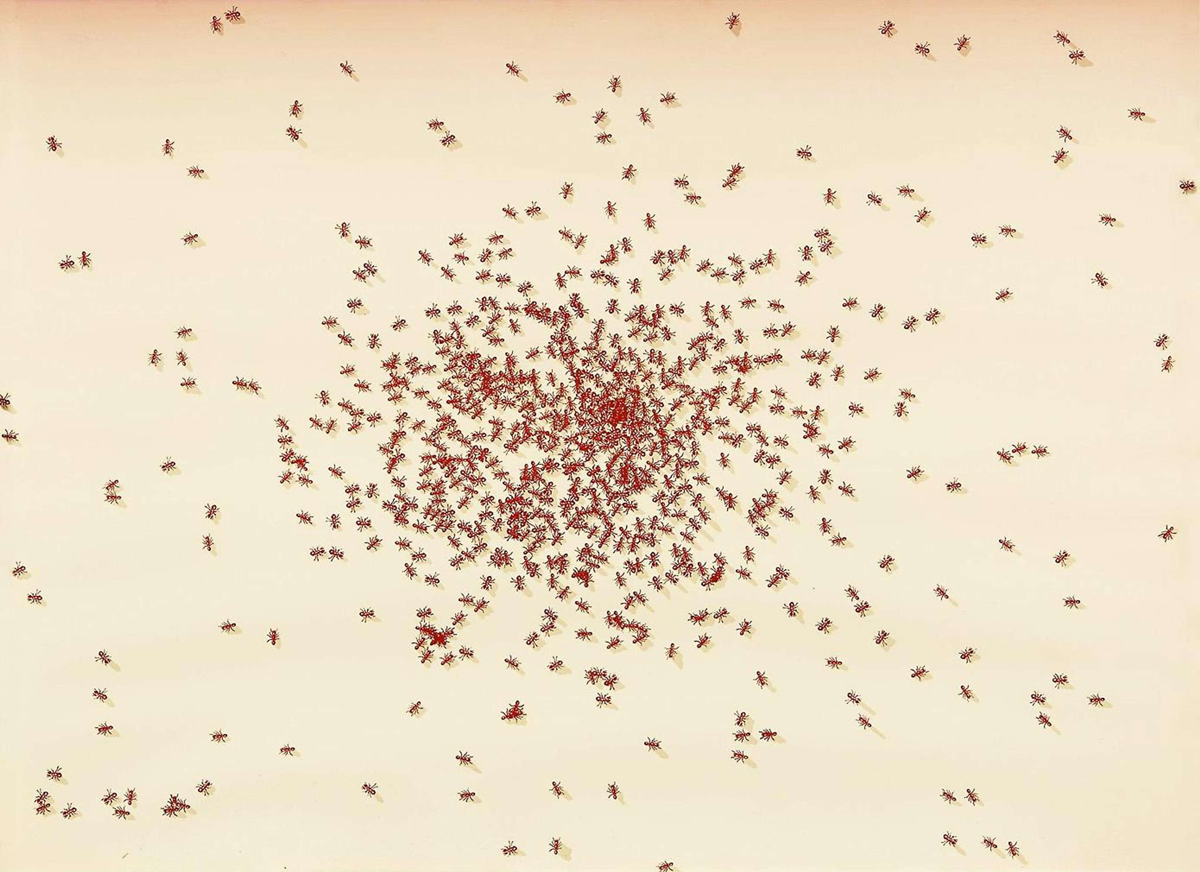 Swarm Of Red Ants - Signed Print by Ed Ruscha 1972 - MyArtBroker
