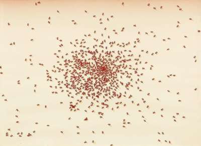 Swarm Of Red Ants - Signed Print by Ed Ruscha 1972 - MyArtBroker
