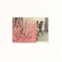 Gerhard Richter: Hood - Signed Print