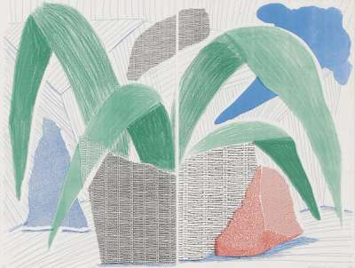Green Grey Blue Plant July - Signed Print by David Hockney 1986 - MyArtBroker