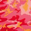 Camouflage (F. & S. II.408) - Signed Print